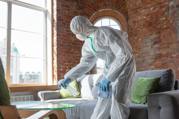 Why You Should Choose Our Mold Remediation Services in Jarales, NM